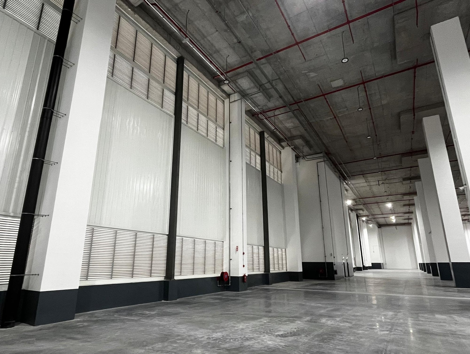 08-WhatsApp Image 2025-02-04 at 16.35.49